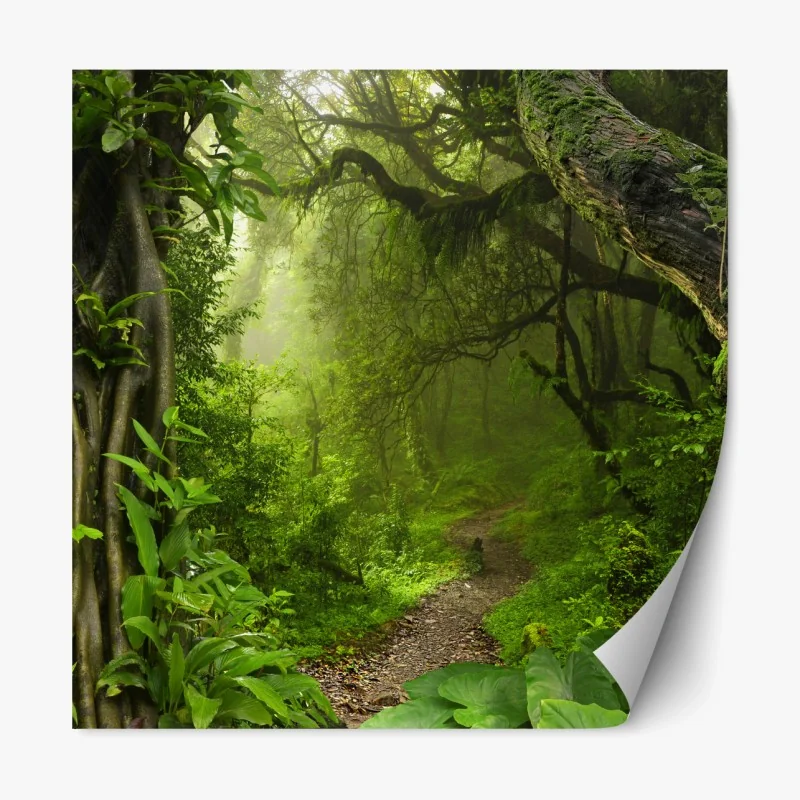 Repositionierbarer Aufkleber tropischer steg in Punta Cana – Wallnifity®