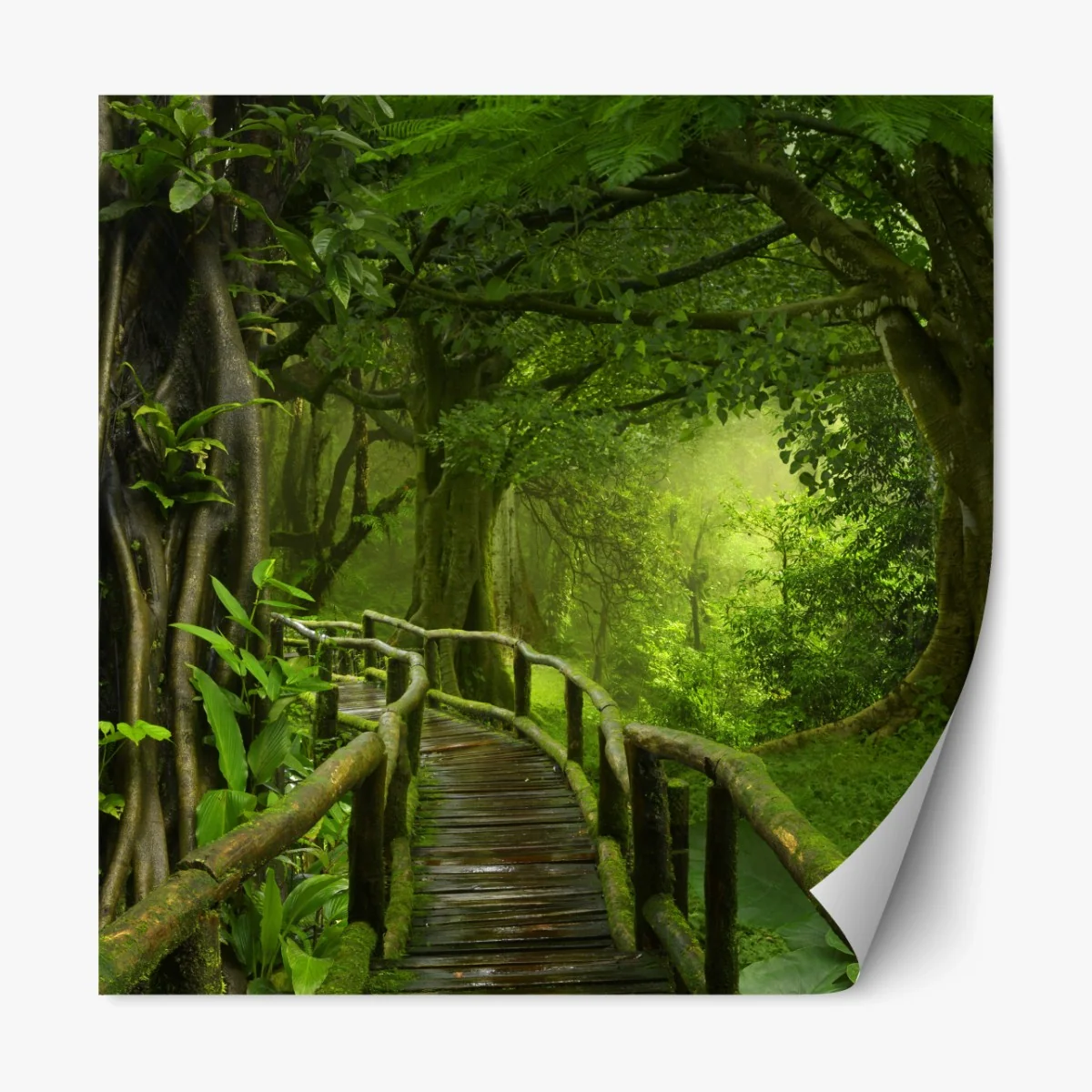 Repositionierbarer Aufkleber nebliger steg im tropischen dschungel – Wallnifity® Repositionierbarer Aufkleber nebliger steg im tropischen dschungel – Wallnifity®