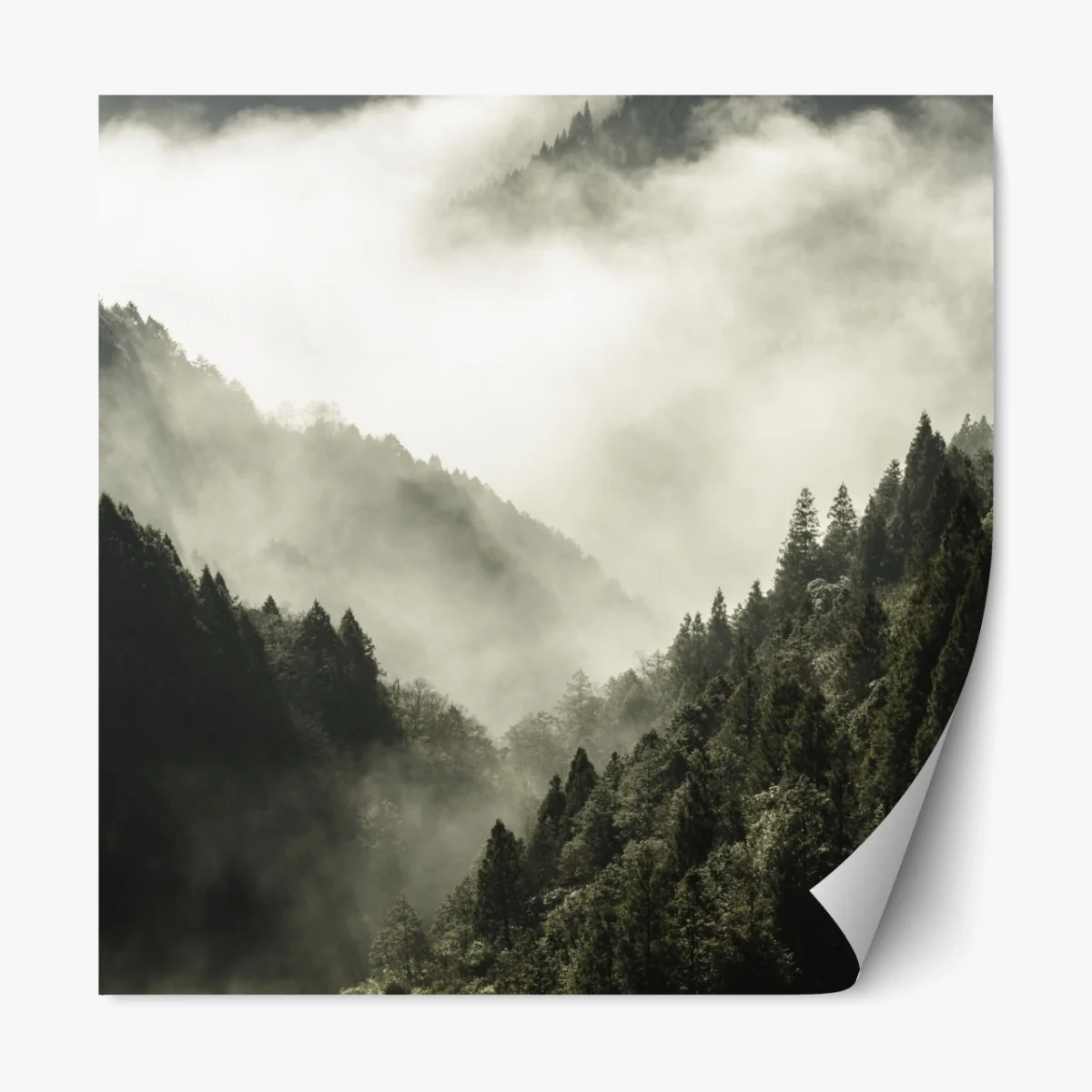 Repositionierbarer Aufkleber nebliges bergtal im wald – Wallnifity® Repositionierbarer Aufkleber nebliges bergtal im wald – Wallnifity®