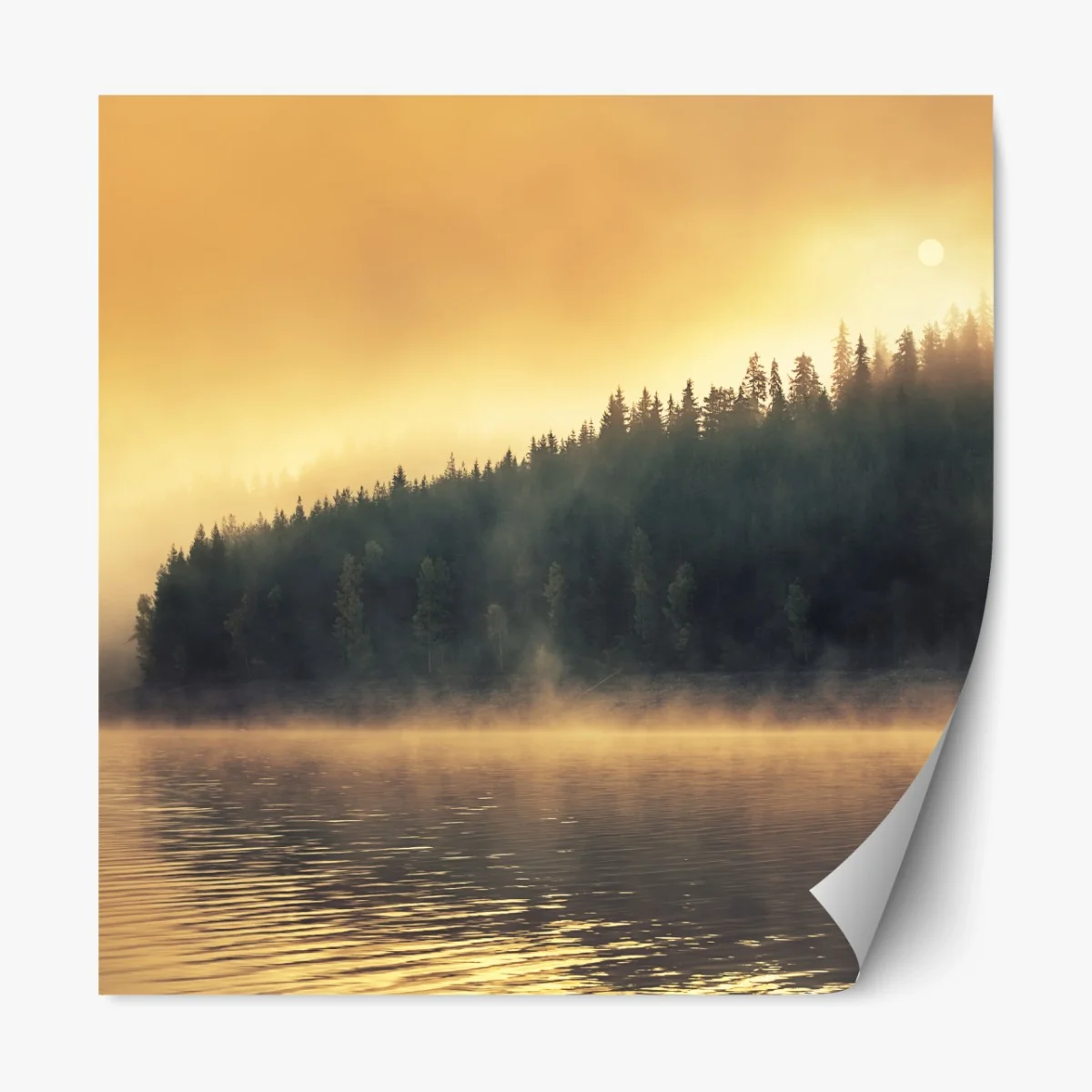 Repositionierbarer Aufkleber nebeliger goldener sonnenaufgang über waldsee – Wallnifity® Repositionierbarer Aufkleber nebeliger goldener sonnenaufgang über waldsee – Wallnifity®