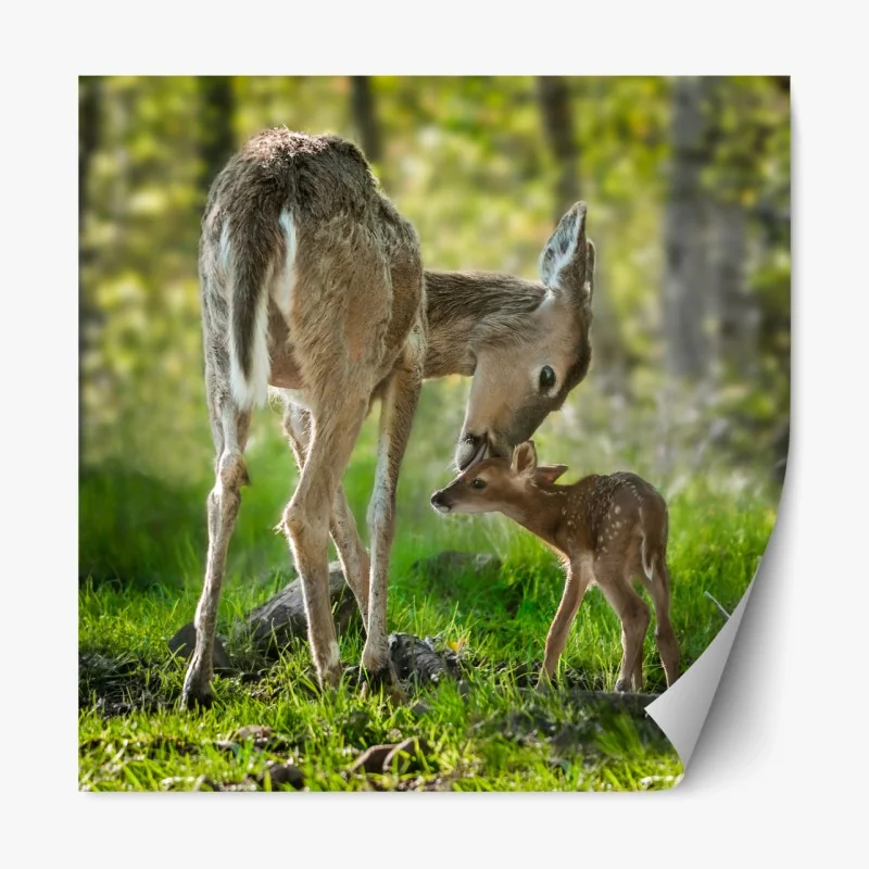 Repositionierbarer Aufkleber ruhiger sepia strand – Wallnifity®