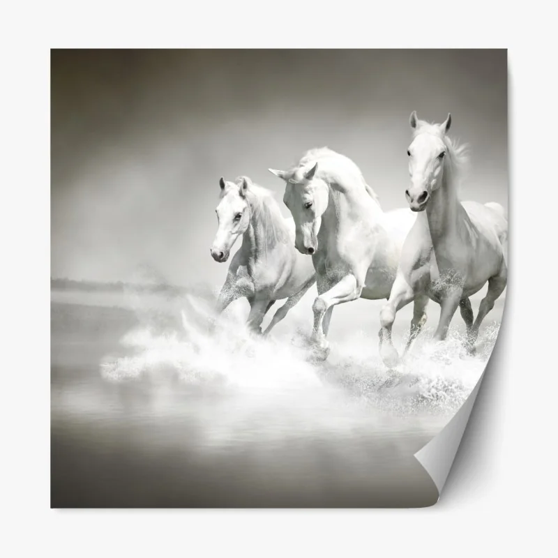 Repositionierbarer Aufkleber drei weiße pferde im galopp durch wasser