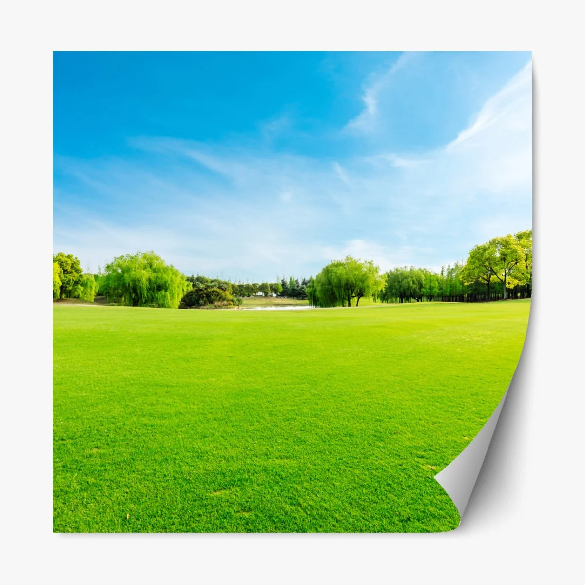 Repositionierbarer Aufkleber friedliche grüne wiese unter blauem himmel – Wallnifity®