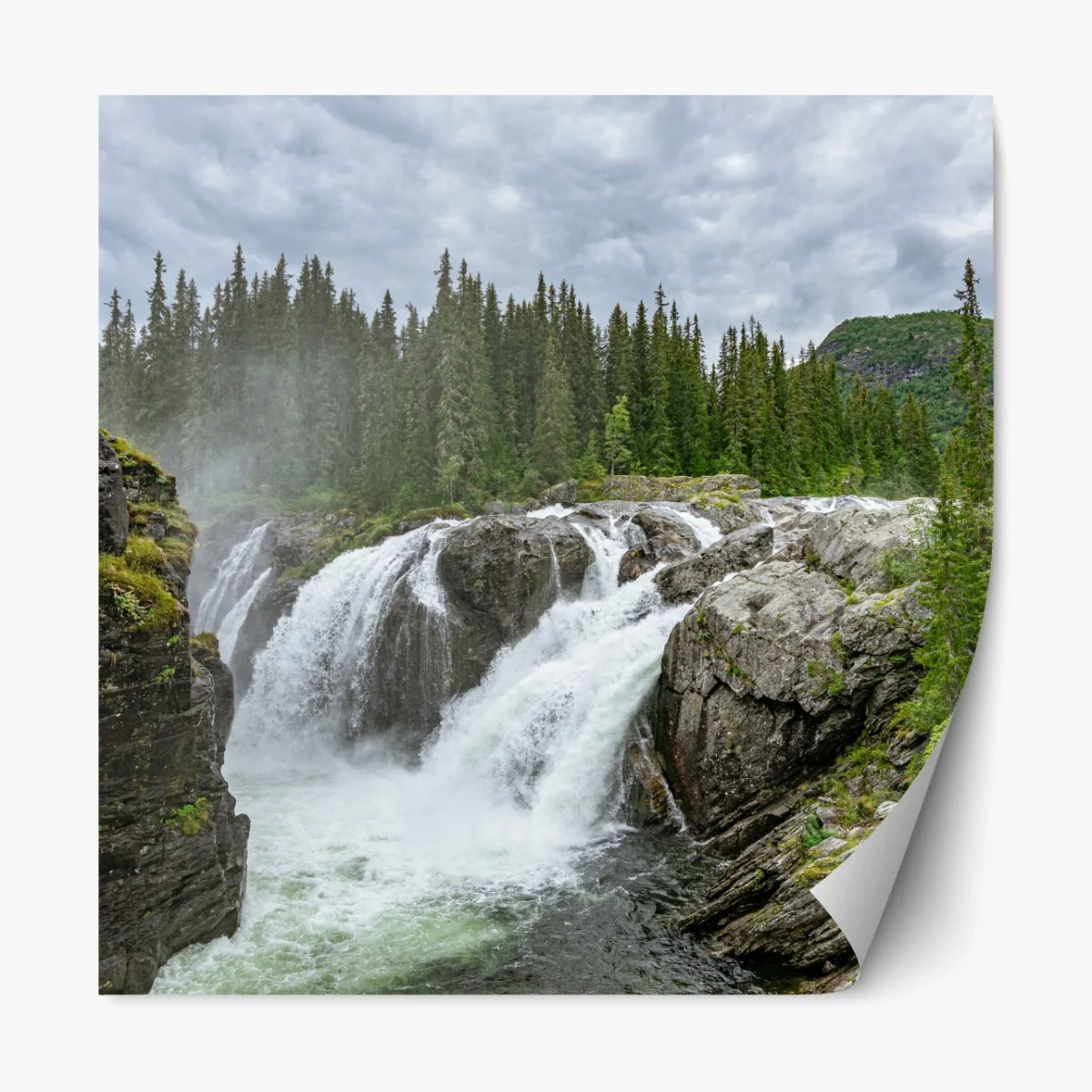 Repositionierbarer Aufkleber nebliger wasserfall im dichten kiefernwald – Wallnifity®