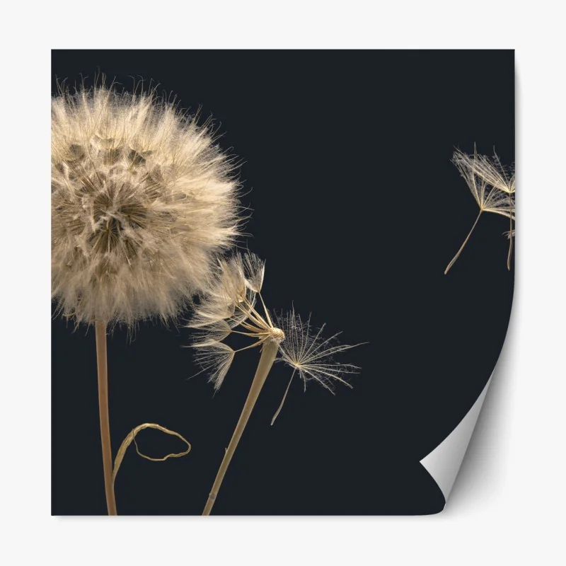 Repositionierbarer Aufkleber friedliche grüne wiese unter blauem himmel – Wallnifity®