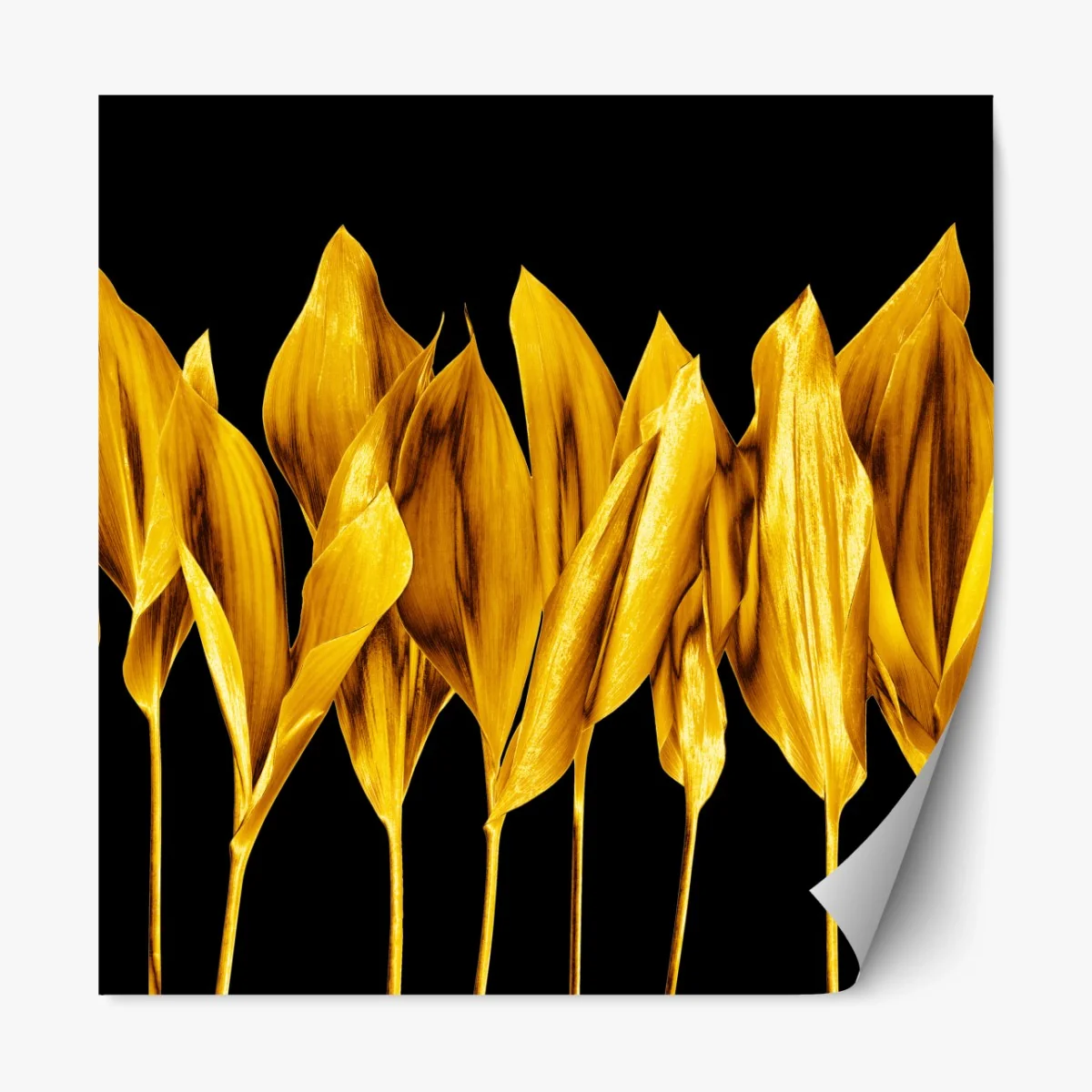 Repositionierbarer Aufkleber goldene blätter auf schwarzem hintergrund – Wallnifity®