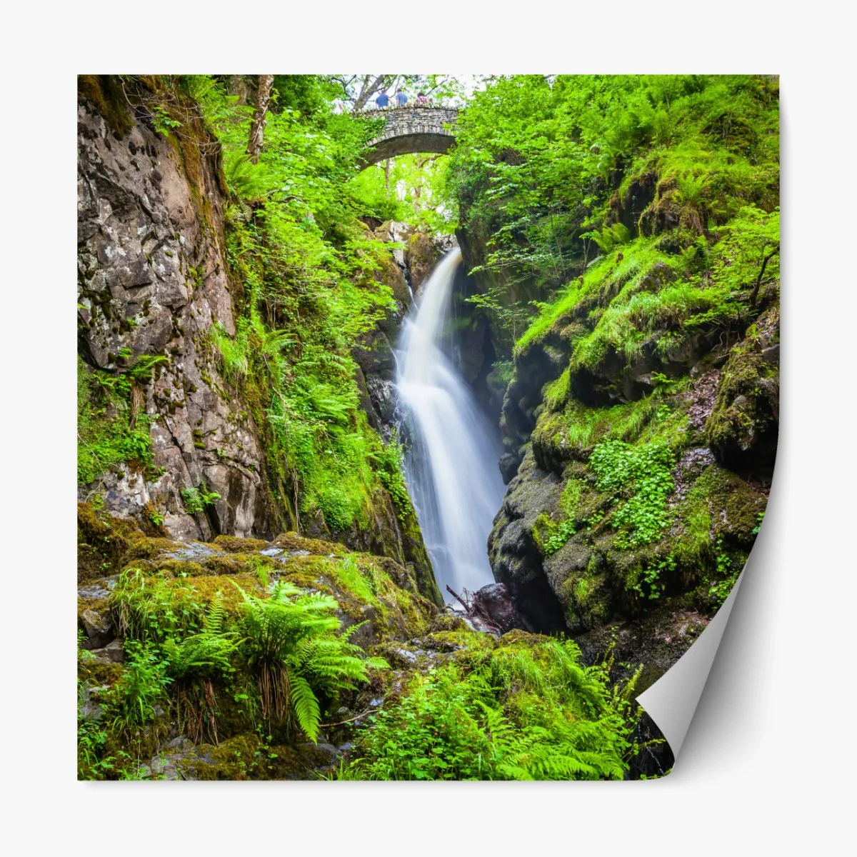 Repositionierbarer Aufkleber wasserfall in moosiger schlucht mit steinbrücke – Wallnifity®