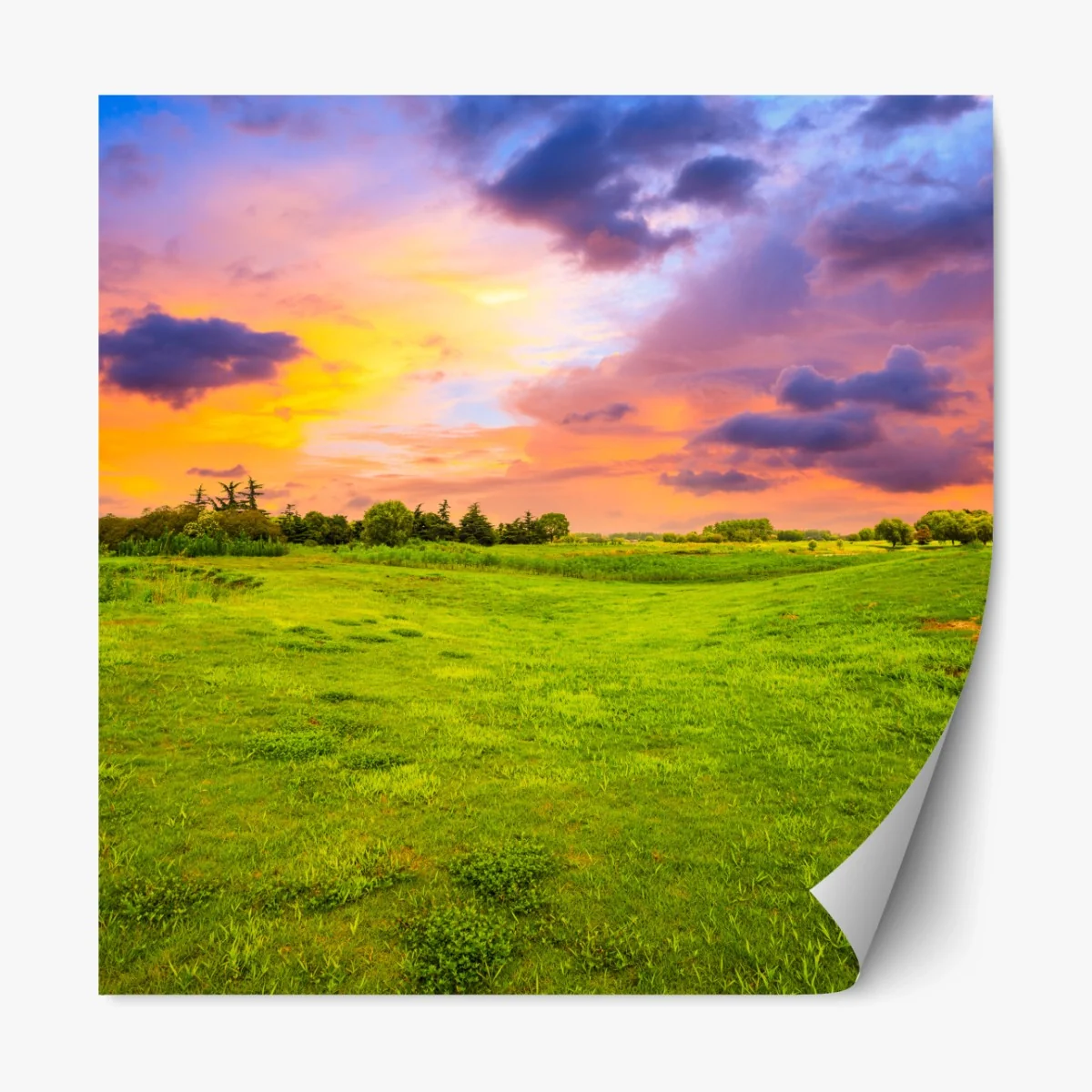 Repositionierbarer Aufkleber sonnenuntergang über grüner wiese – Wallnifity®