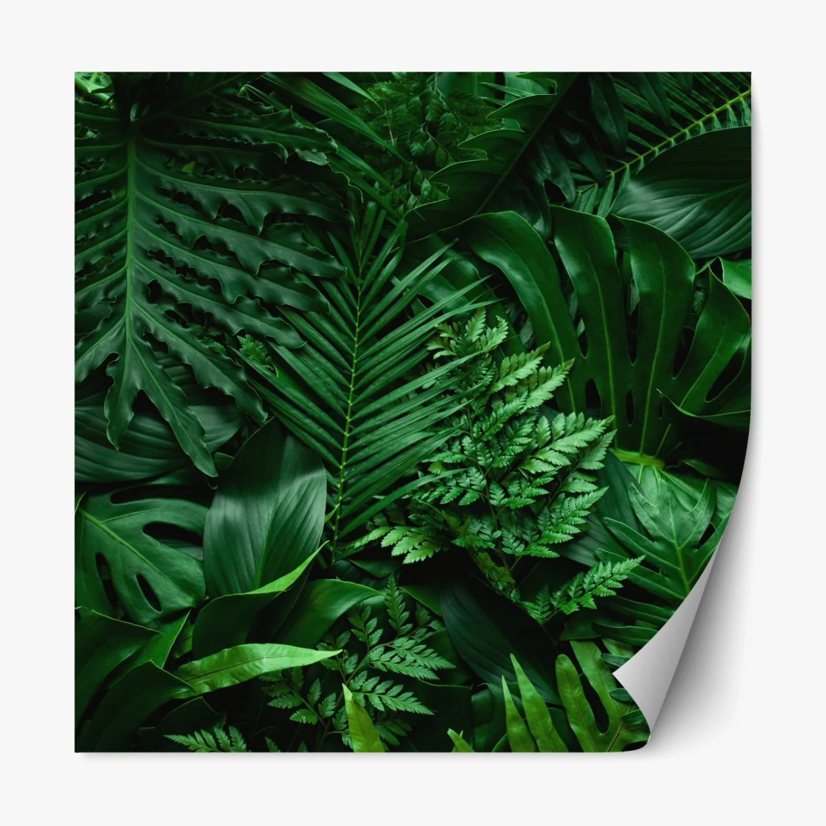 Repositionierbarer Aufkleber üppige tropische blätter – Wallnifity®