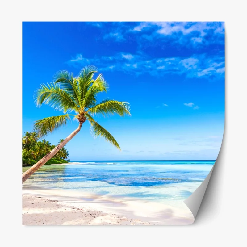 Repositionierbarer Aufkleber sonnenbeschienene eichenallee bei Savannah – Wallnifity®