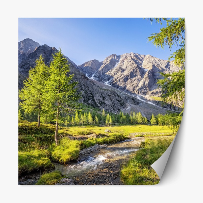 Repositionierbarer Aufkleber verspieltes katzen-doodle muster – Wallnifity®