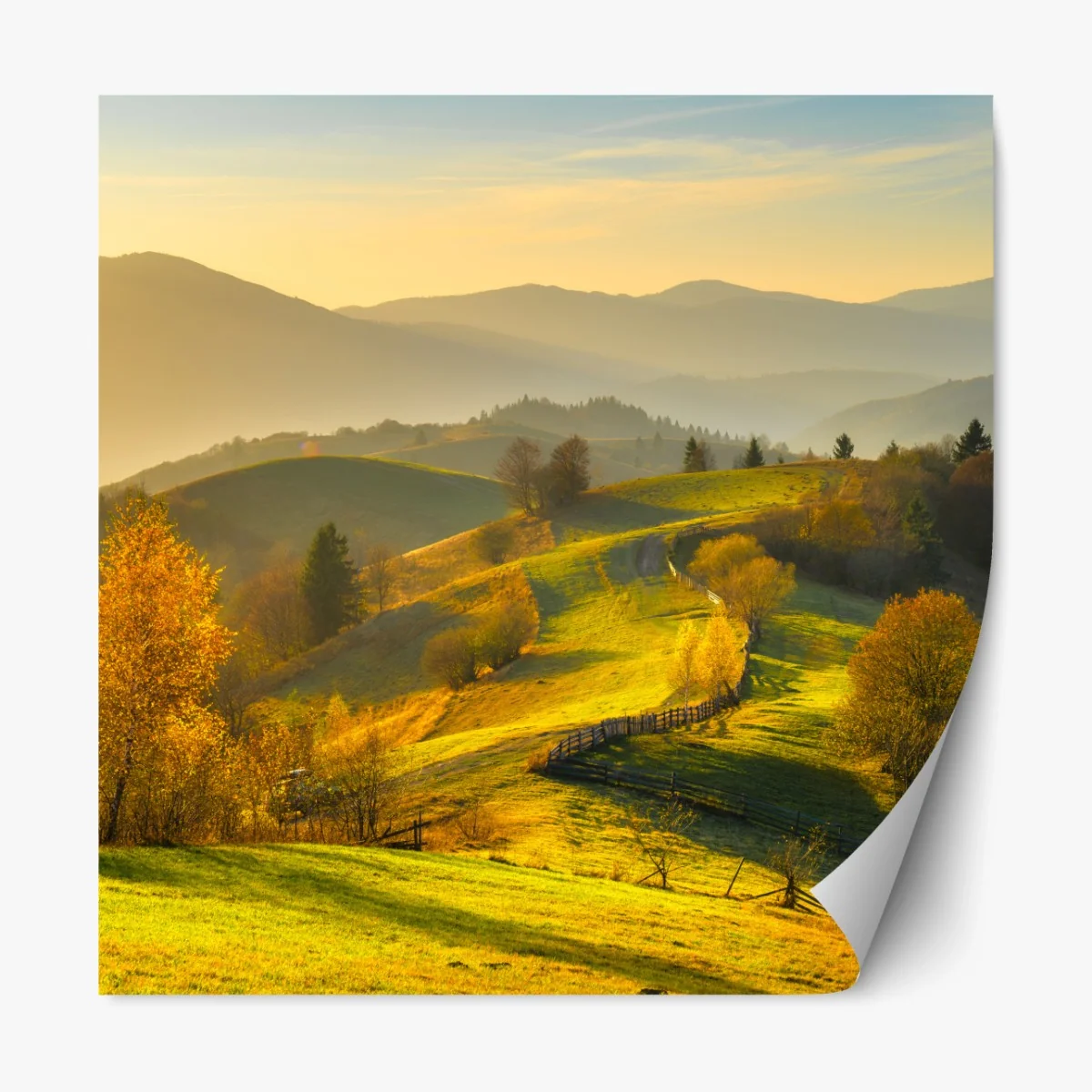 Repositionierbarer Aufkleber goldene herbsthügel bei sonnenuntergang – Wallnifity®