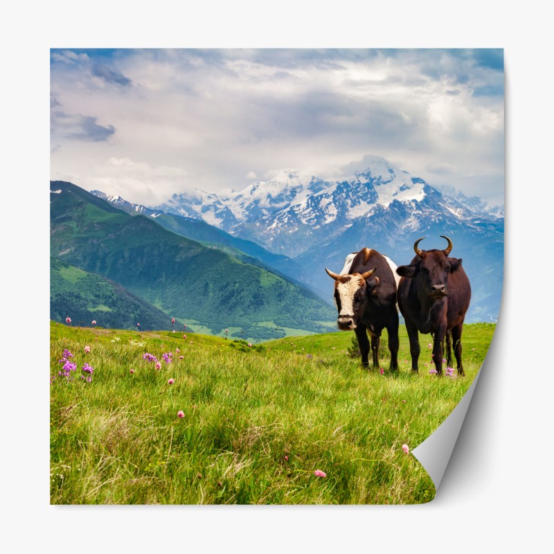 Repositionierbarer Aufkleber alpenwiese mit grastenden kühen