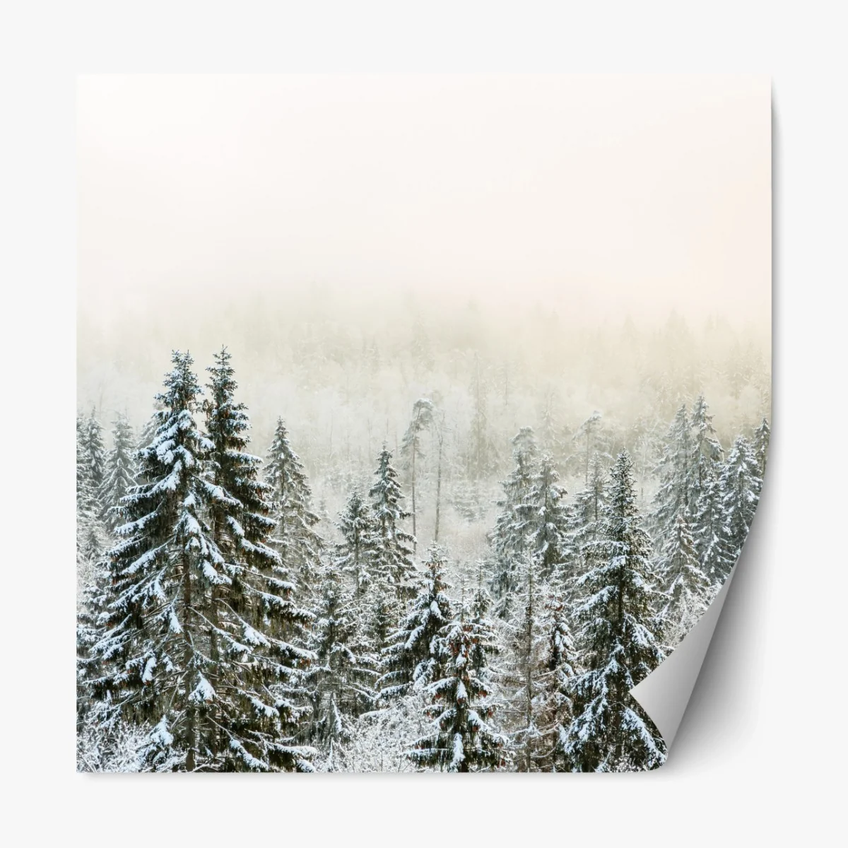 Repositionierbarer Aufkleber verschneiter wald im sanften nebel – Wallnifity®