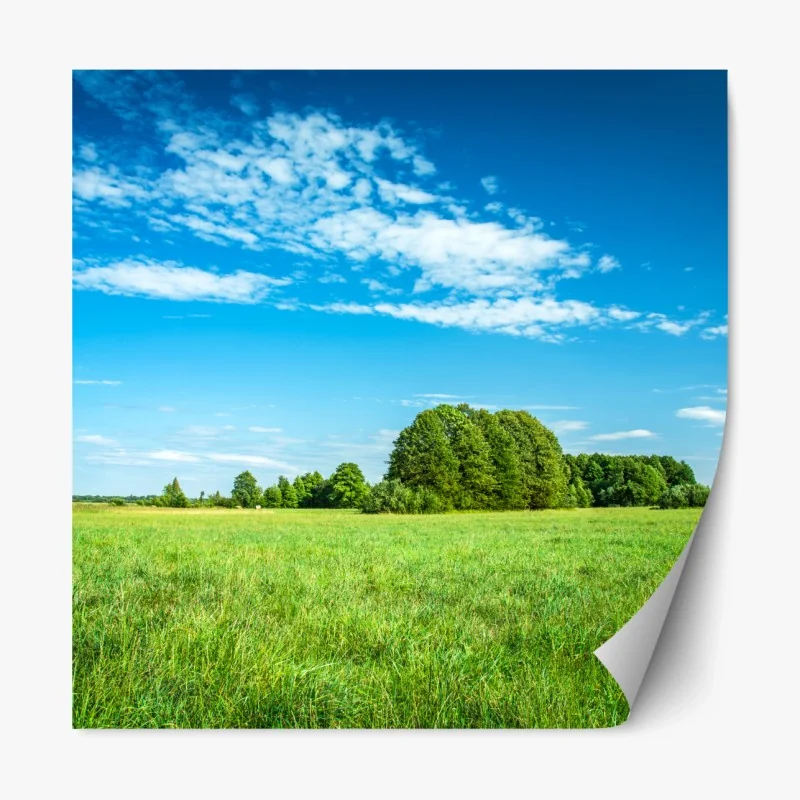 Repositionierbarer Aufkleber sonnige grüne wiese unter blauem himmel