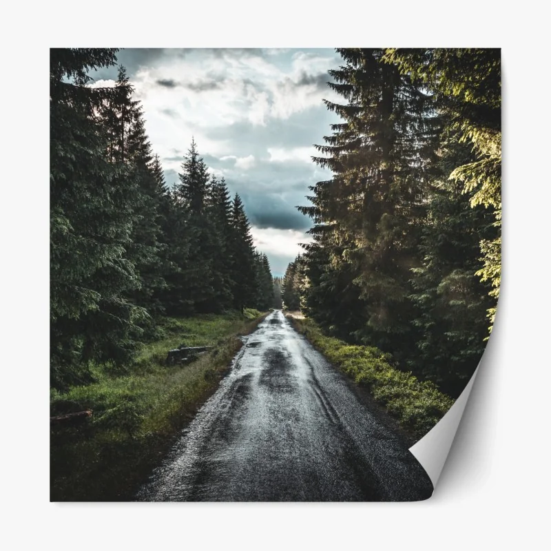 Repositionierbarer Aufkleber studio-porträt eines schwarzen labradors – Wallnifity®