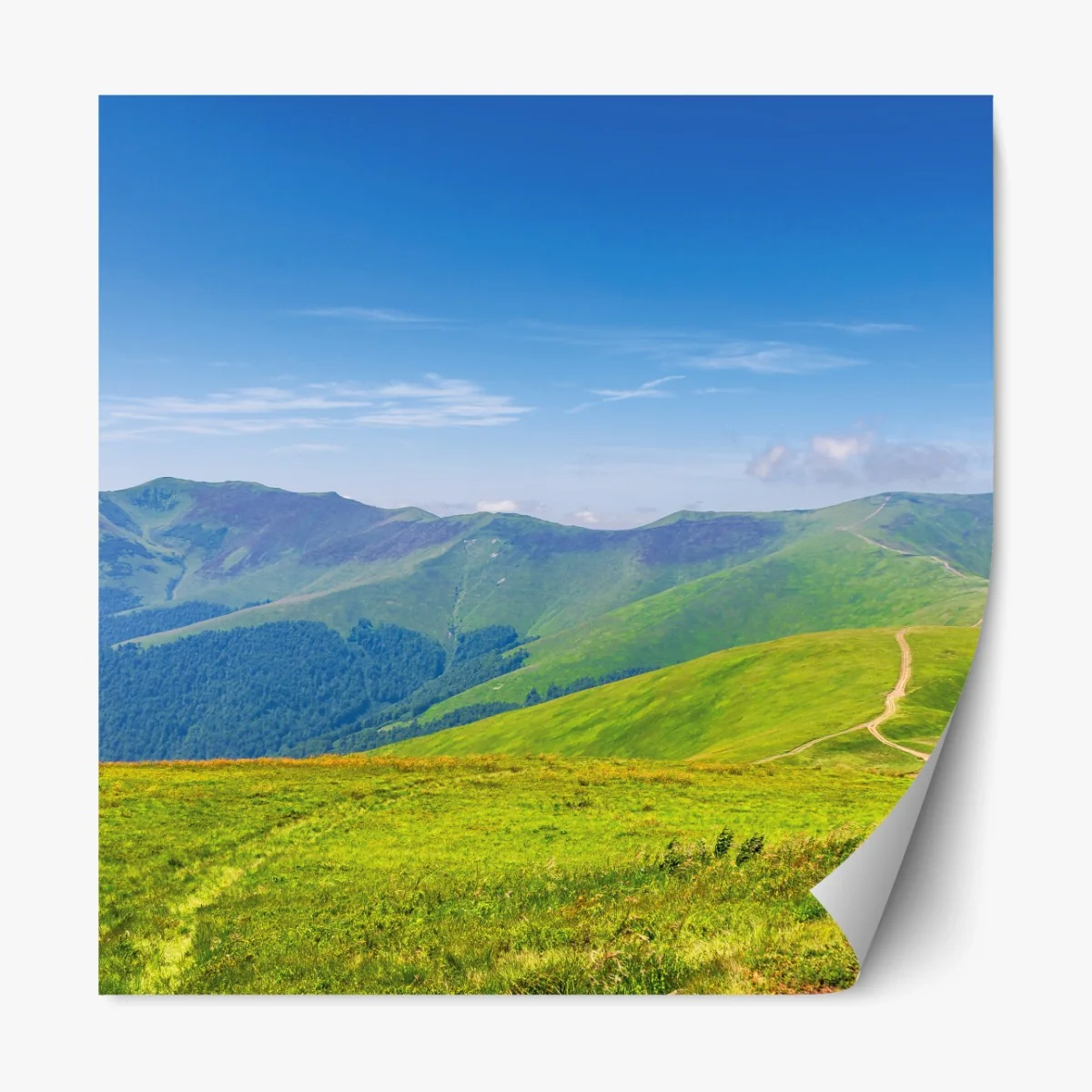 Repositionierbarer Aufkleber sonnige Borzhava-wiese, Transkarpatien, Ukraine – Wallnifity® Repositionierbarer Aufkleber sonnige Borzhava-wiese, Transkarpatien, Ukraine – Wallnifity®