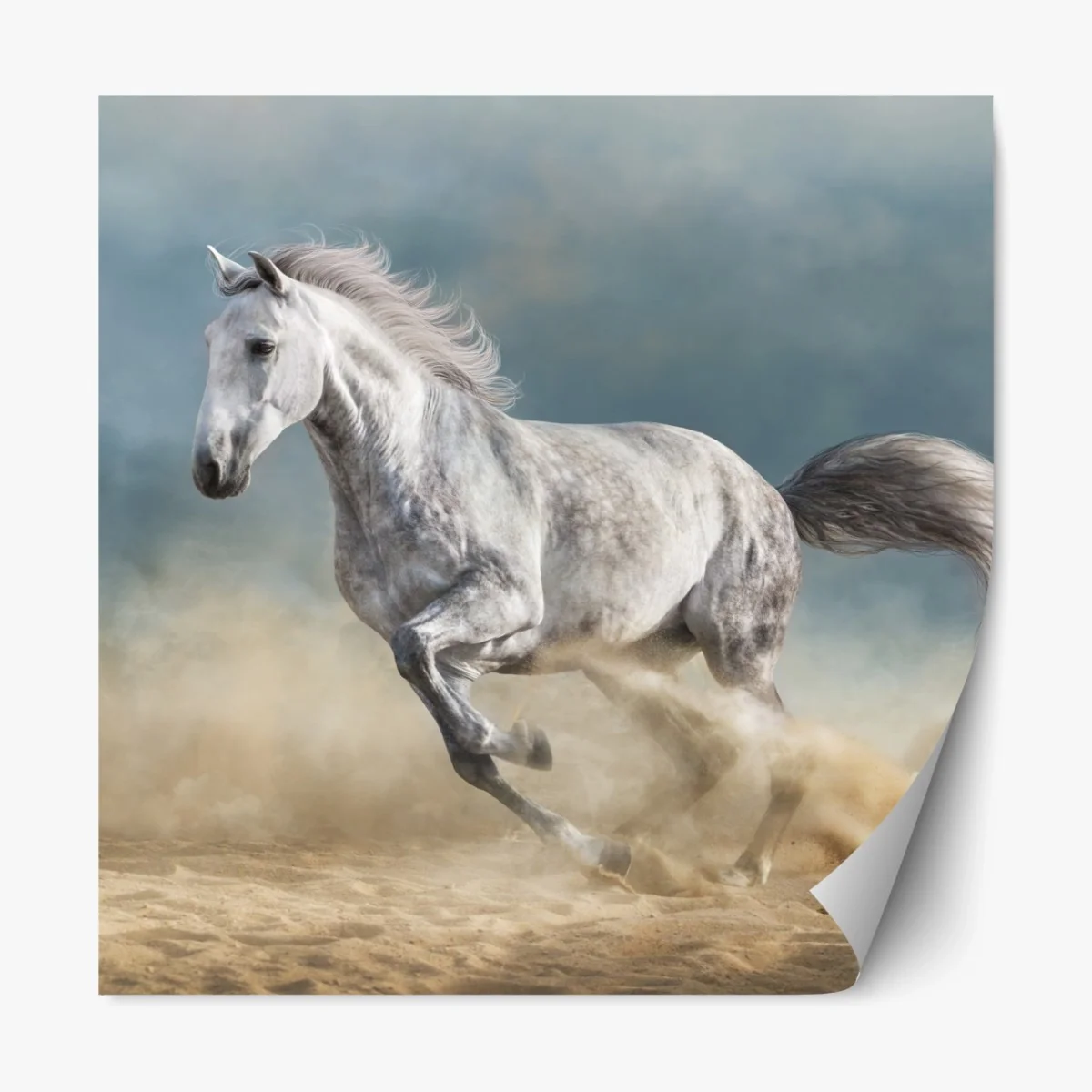 Repositionierbarer Aufkleber majestätisches graues pferd galoppiert durch den sand – Wallnifity® Repositionierbarer Aufkleber majestätisches graues pferd galoppiert durch den sand – Wallnifity®