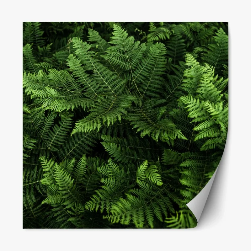 Repositionierbarer Aufkleber üppiges grünes farnlaub – Wallnifity® Repositionierbarer Aufkleber üppiges grünes farnlaub – Wallnifity®