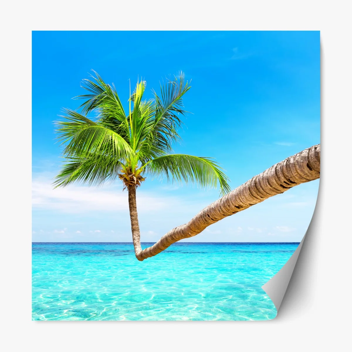 Repositionierbarer Aufkleber tropische palme in Punta Cana – Wallnifity®