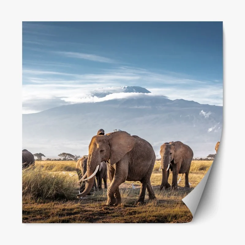 Repositionierbarer Aufkleber elefantenherde vor Kilimandscharo