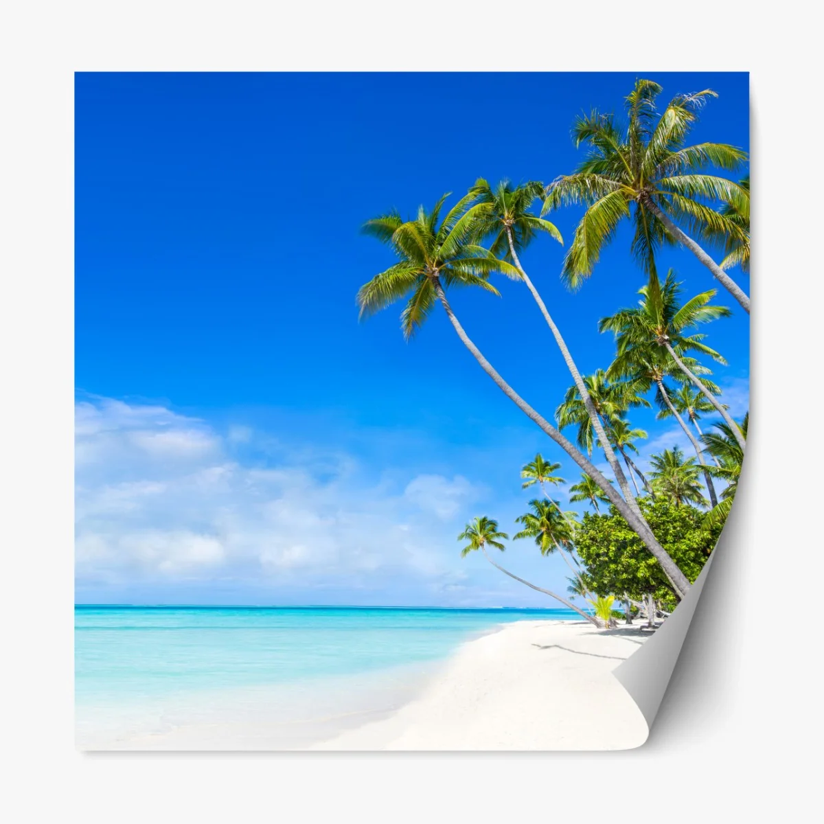 Repositionierbarer Aufkleber tropischer palmenstrand – Wallnifity® Repositionierbarer Aufkleber tropischer palmenstrand – Wallnifity®