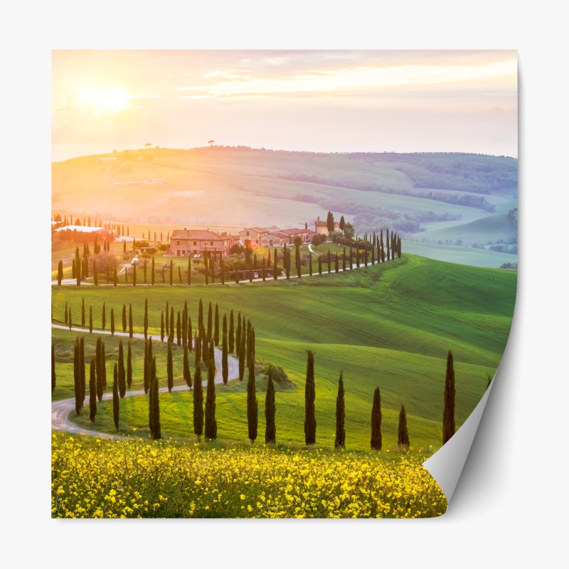 Repositionierbarer Aufkleber tropischer palmenstrand – Wallnifity®