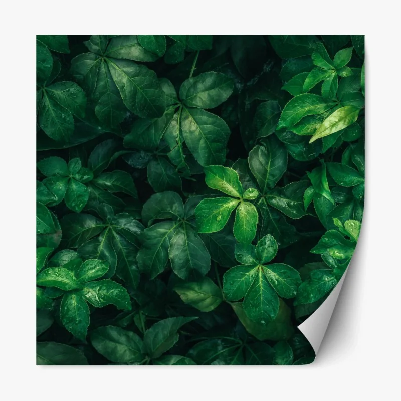 Repositionierbarer Aufkleber buntes küstendorf in Cinque Terre – Wallnifity®