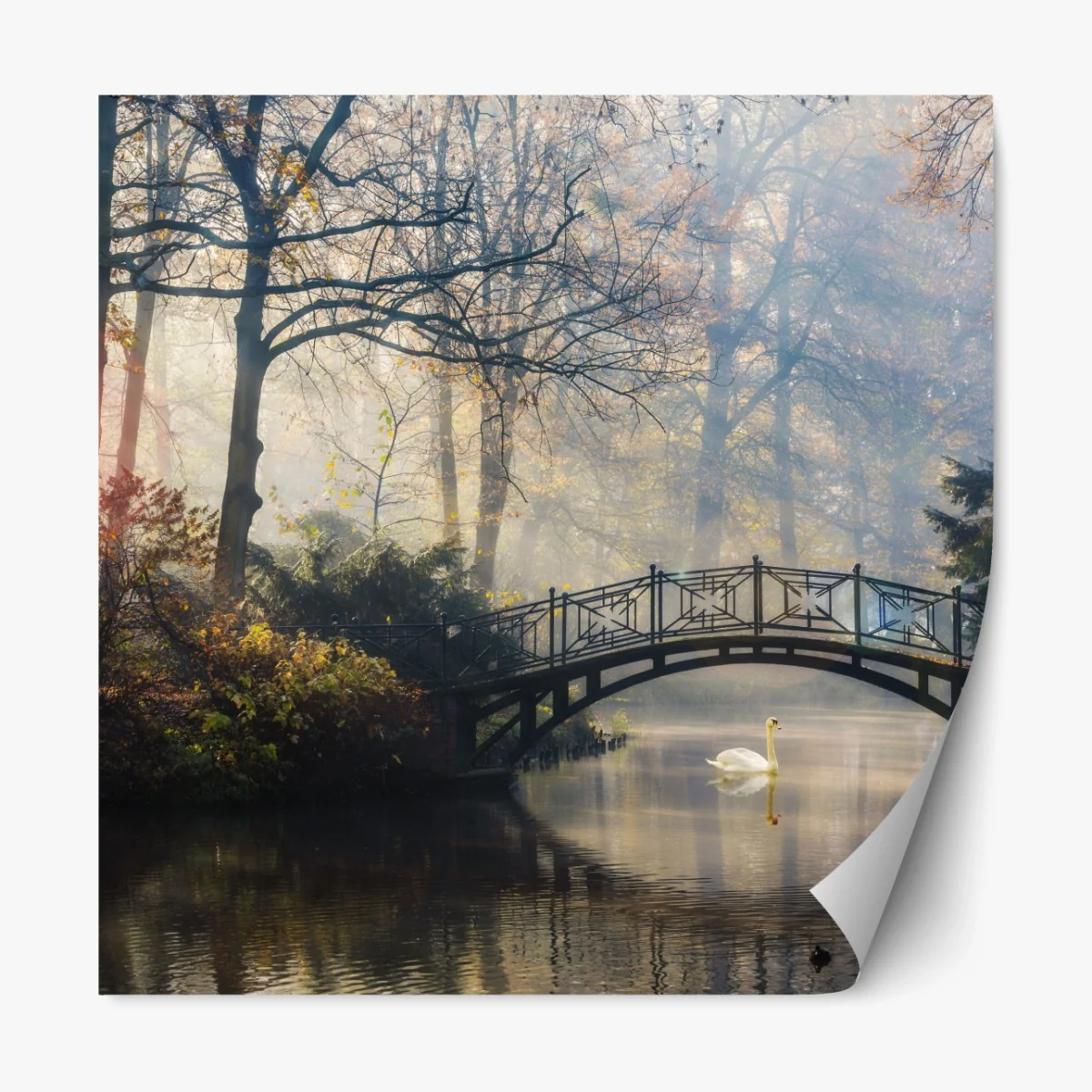 Repositionierbarer Aufkleber neblige herbstbrücke mit schwan – Wallnifity® Repositionierbarer Aufkleber neblige herbstbrücke mit schwan – Wallnifity®