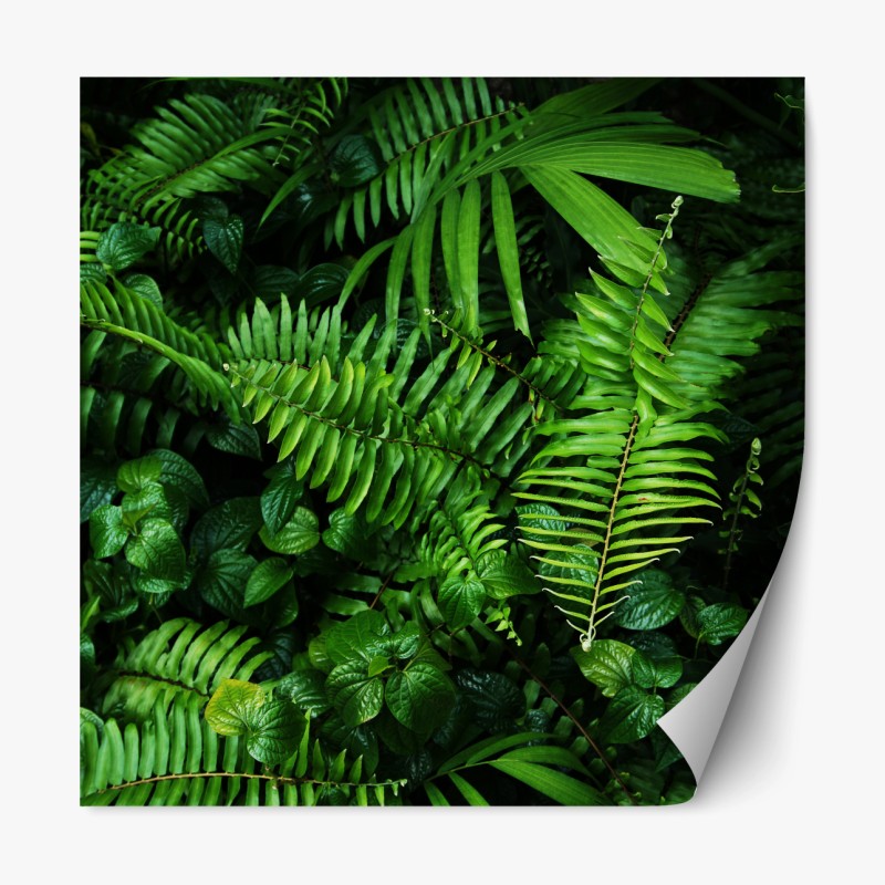 Repositionierbarer Aufkleber ruhige flusslandschaft – Wallnifity®