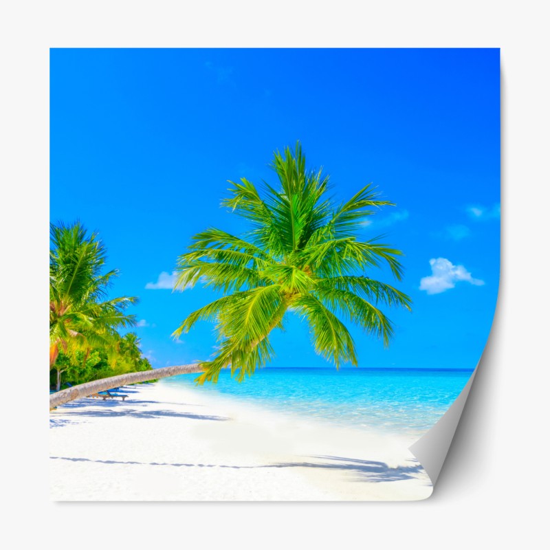 Repositionierbarer Aufkleber sonnenbeschienene wiese im abendlicht – Wallnifity®