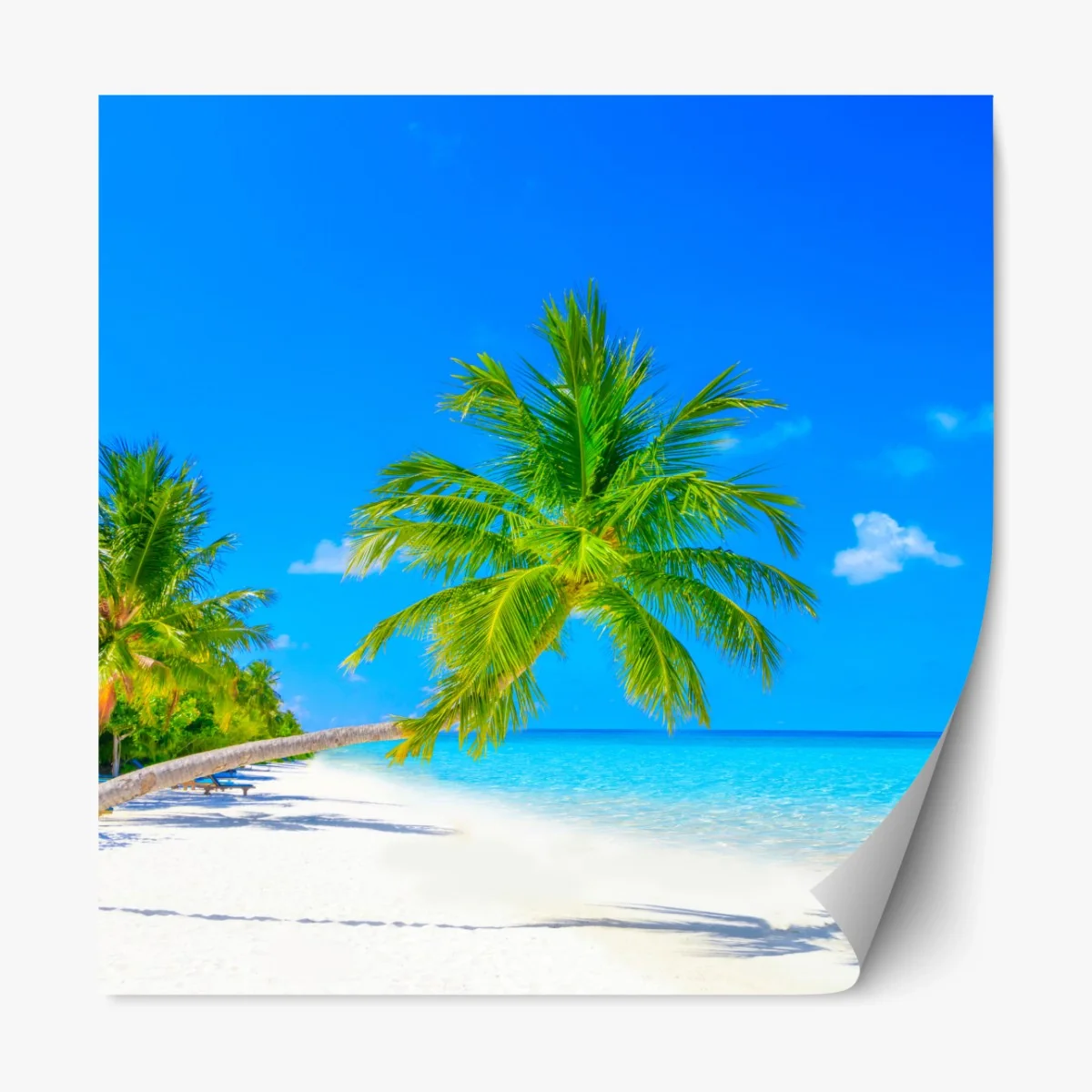 Repositionierbarer Aufkleber traumhafte strandlandschaft auf den Malediven – Wallnifity® Repositionierbarer Aufkleber traumhafte strandlandschaft auf den Malediven – Wallnifity®