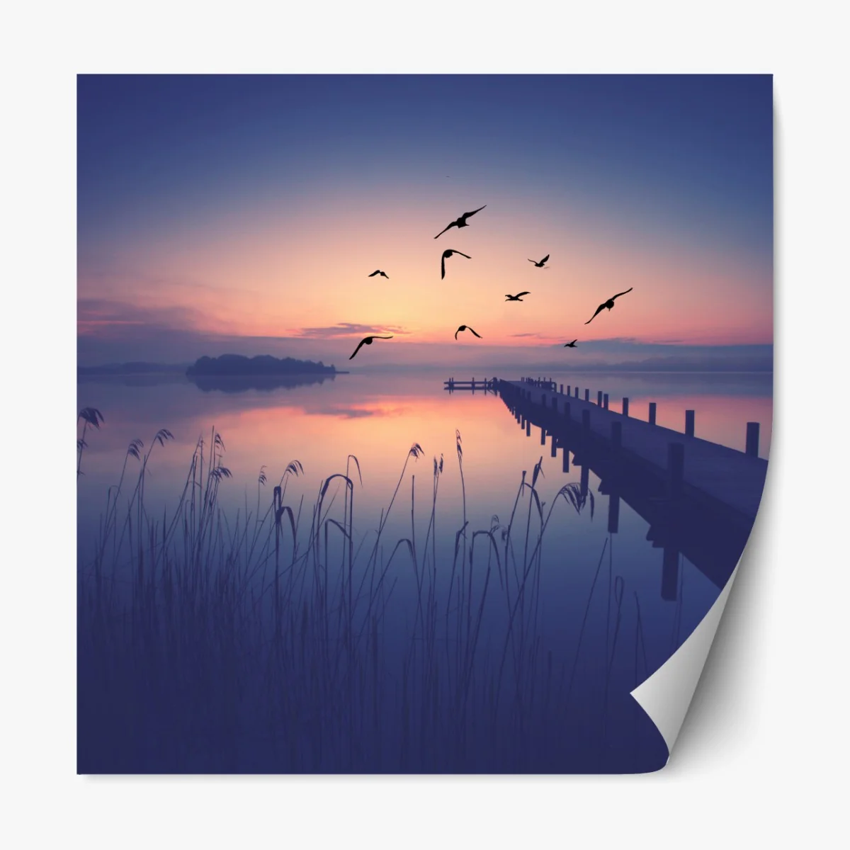 Repositionierbarer Aufkleber ruhiger sonnenaufgang am see mit vögeln – Wallnifity®