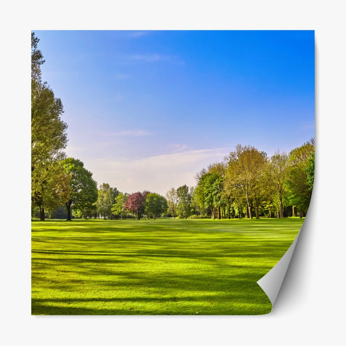 Repositionierbarer Aufkleber sonnige panoramaaufnahme eines stadtparks – Wallnifity® Repositionierbarer Aufkleber sonnige panoramaaufnahme eines stadtparks – Wallnifity®