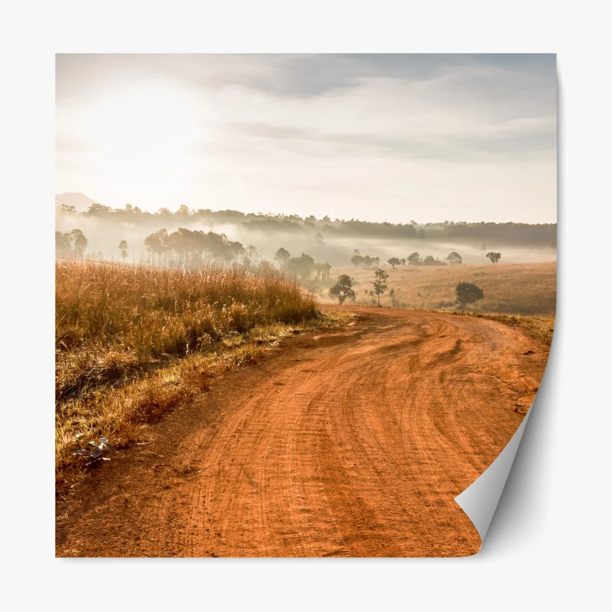 Repositionierbarer Aufkleber morgendlicher feldweg in Thung Salaeng Luang – Wallnifity® Repositionierbarer Aufkleber morgendlicher feldweg in Thung Salaeng Luang – Wallnifity®