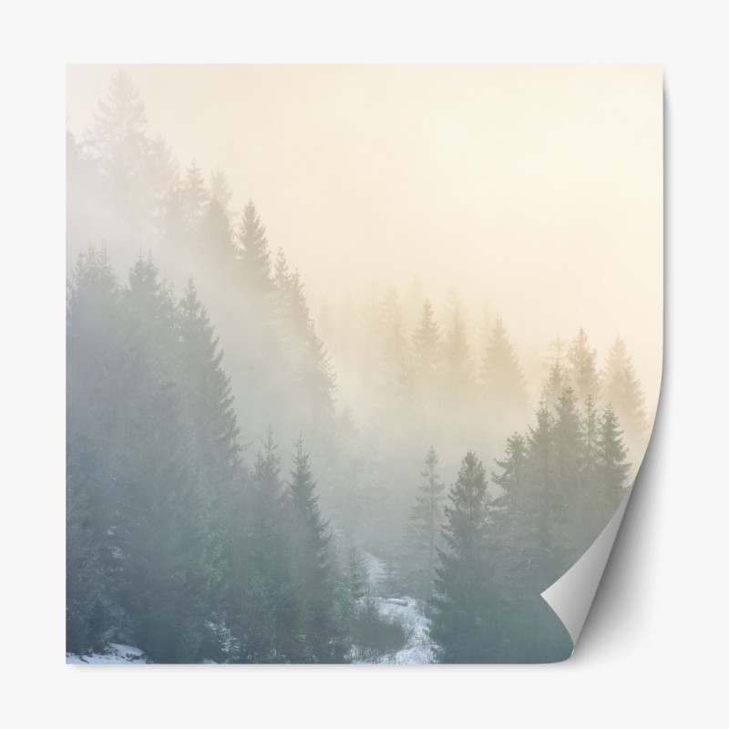 Repositionierbarer Aufkleber tropisches tukanparadies – Wallnifity®