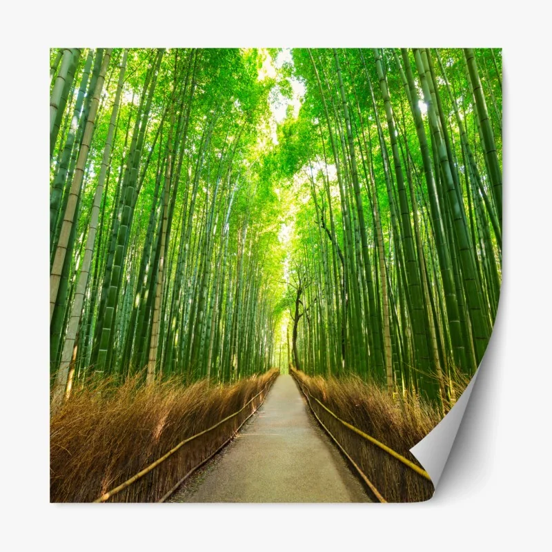 Repositionierbarer Aufkleber ruhiger bambusweg in Kyoto