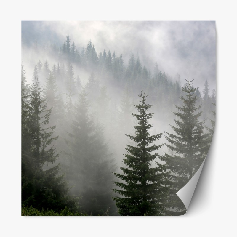 Repositionierbarer Aufkleber surreale retro-collage: traumhafte symbole und erinnerungen – Wallnifity®