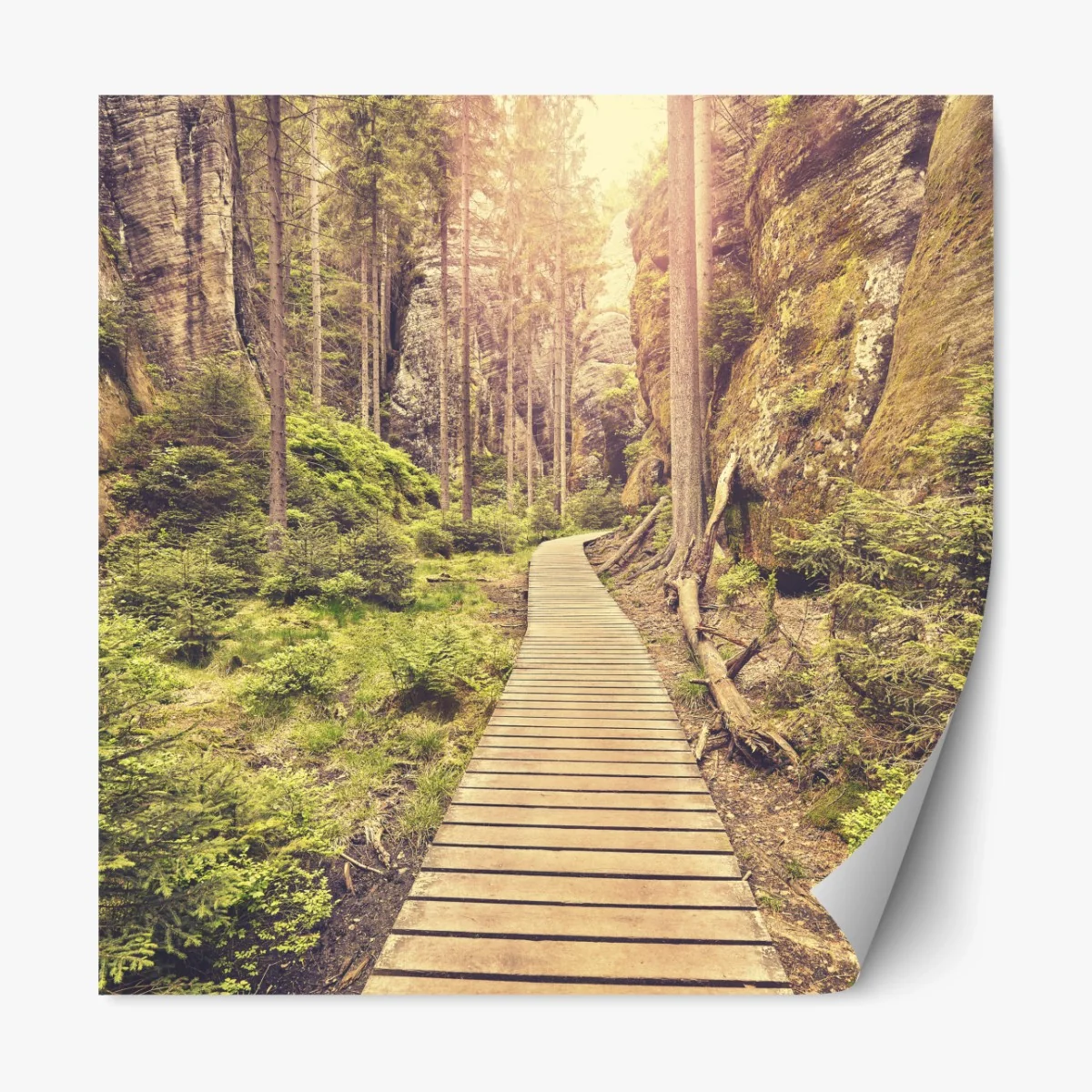 Repositionierbarer Aufkleber sonniger holzsteg in Adrspach Teplice – Wallnifity®