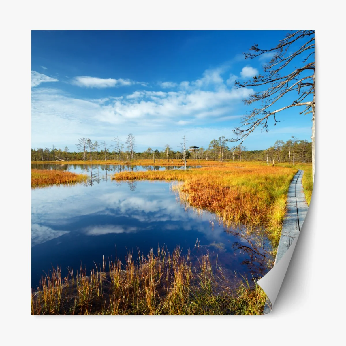 Repositionierbarer Aufkleber herbststeg über ruhigem moor – Wallnifity®