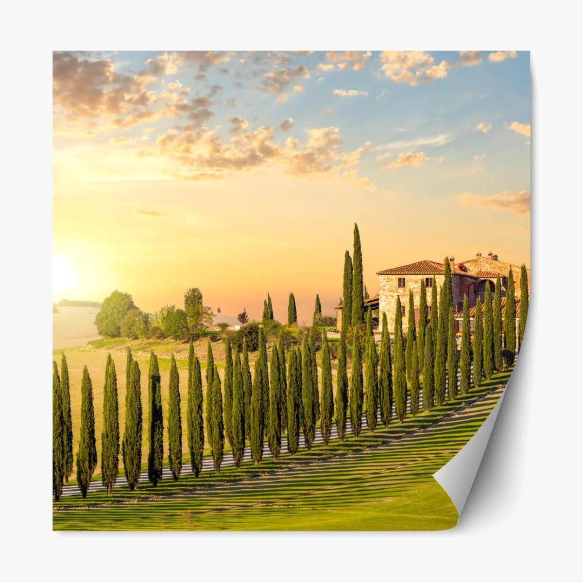 Repositionierbarer Aufkleber Toskana sonnenuntergang zypressenallee – Wallnifity® Repositionierbarer Aufkleber Toskana sonnenuntergang zypressenallee – Wallnifity®