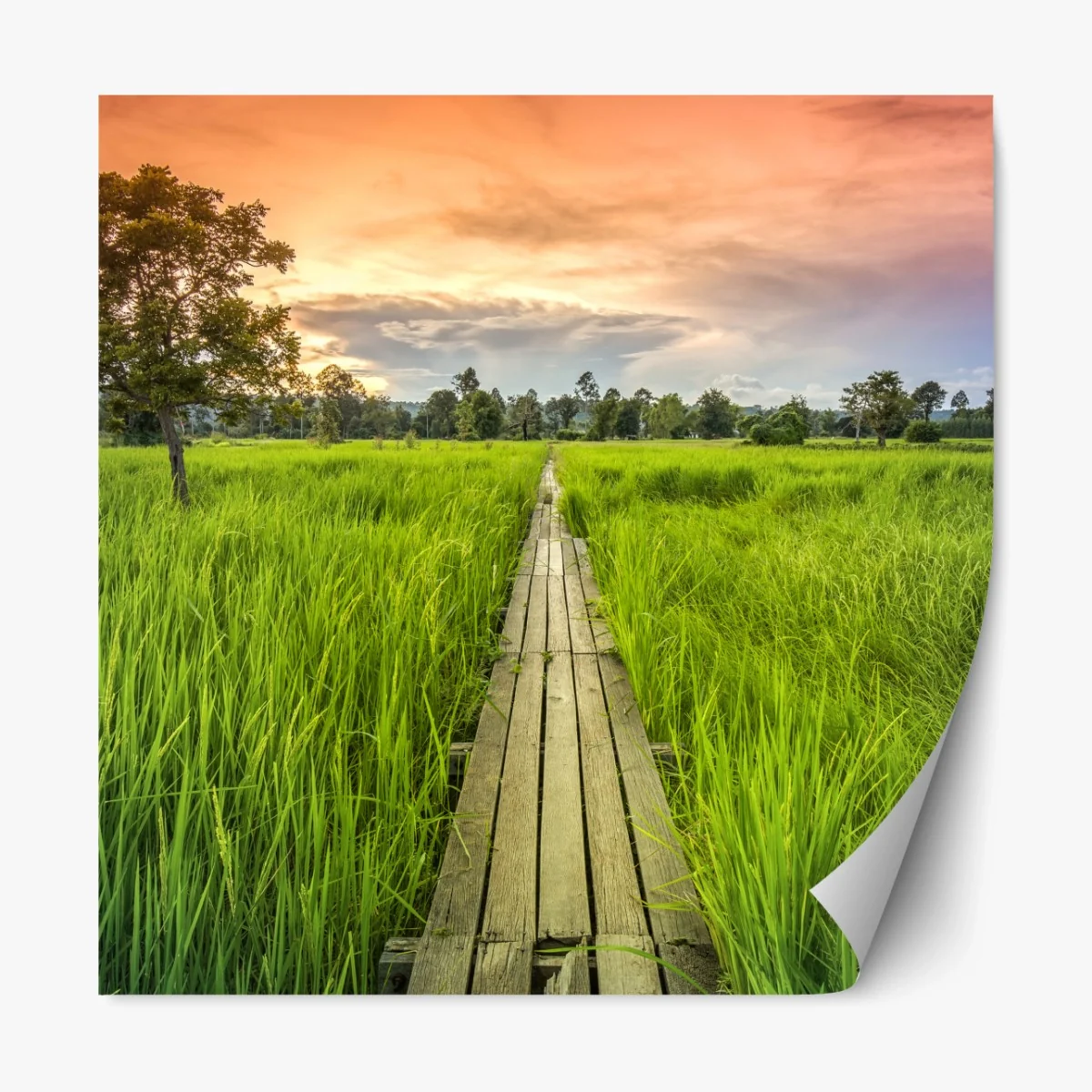 Repositionierbarer Aufkleber sonnenuntergang über einer hölzernen brücke in Khonburi – Wallnifity®