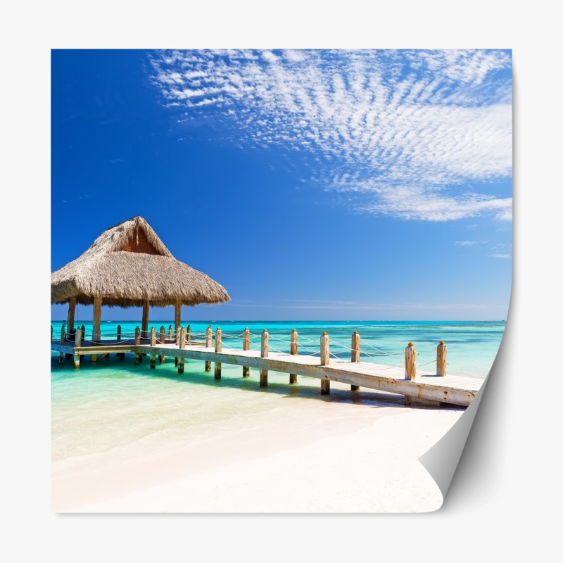 Repositionierbarer Aufkleber vintage vogel- und zitrusmuster – Wallnifity®