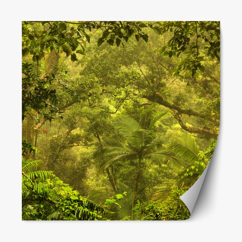 Repositionierbarer Aufkleber tropisches tukanmuster auf dunkelblauem hintergrund – Wallnifity®