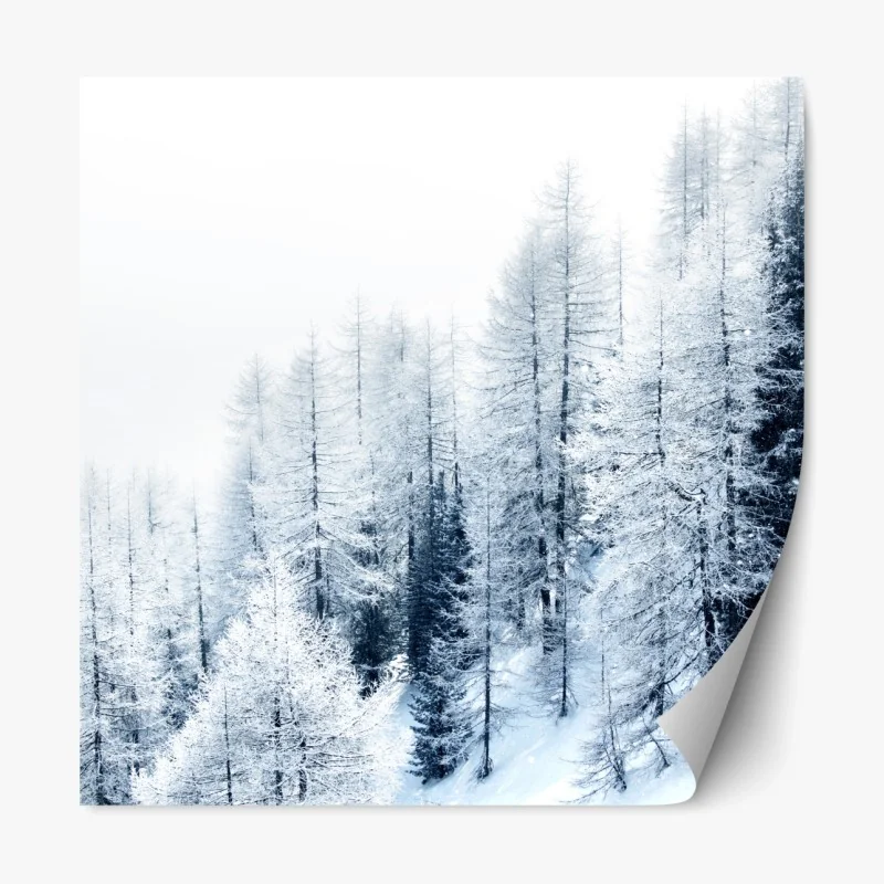 Repositionierbarer Aufkleber winterstille: verschneiter wald