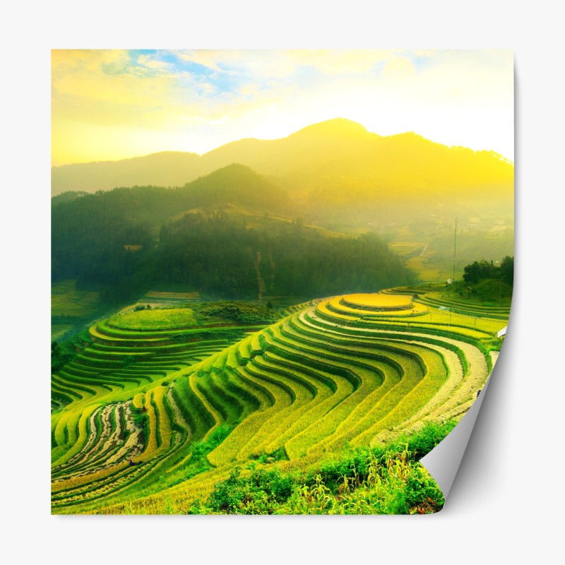 Repositionierbarer Aufkleber tropisches muster mit strelitzie – Wallnifity®