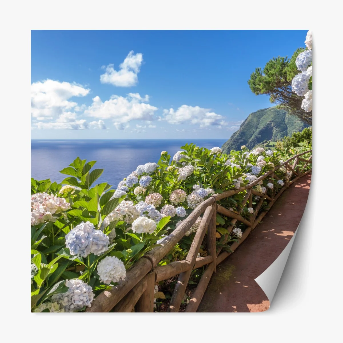 Repositionierbarer Aufkleber küstenweg mit hortensien, São Miguel, Azoren – Wallnifity®