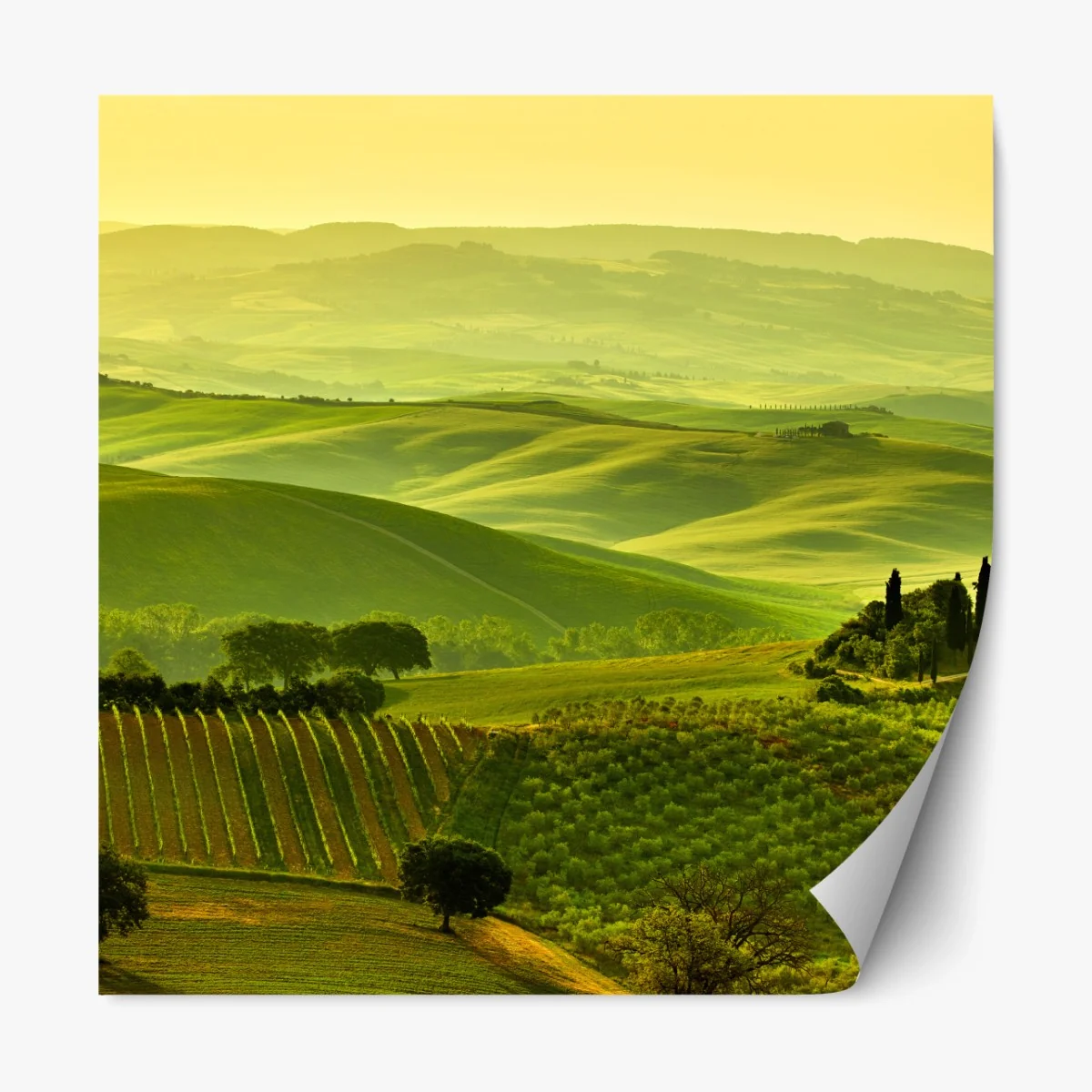 Repositionierbarer Aufkleber Toskana sanfte hügel – Wallnifity®