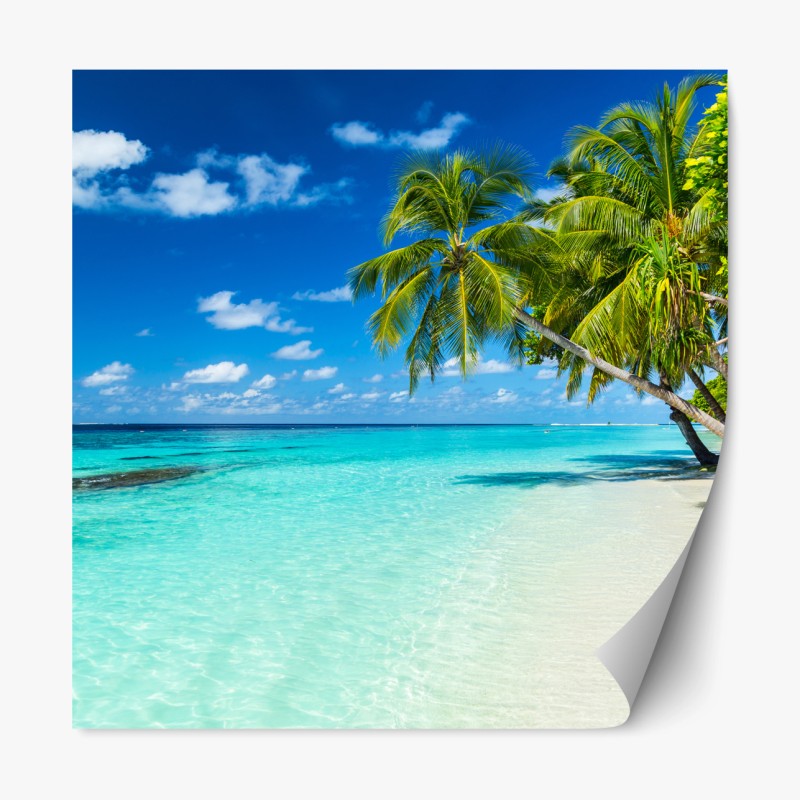 Repositionierbarer Aufkleber holzsteg im Hooker Valley mit blick auf Aoraki Mount Cook – Wallnifity®