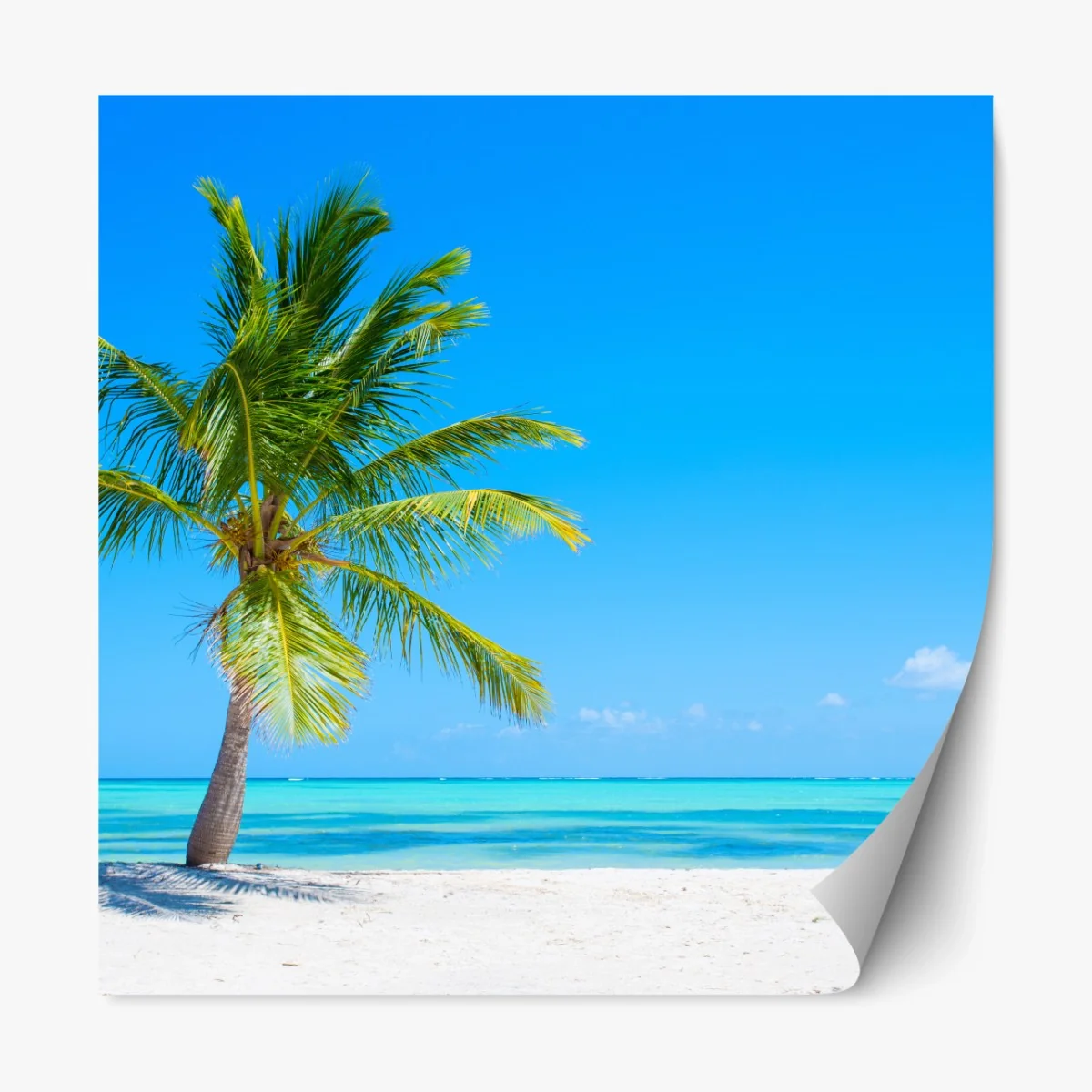 Repositionierbarer Aufkleber tropische palme am weißen sandstrand – Wallnifity® Repositionierbarer Aufkleber tropische palme am weißen sandstrand – Wallnifity®